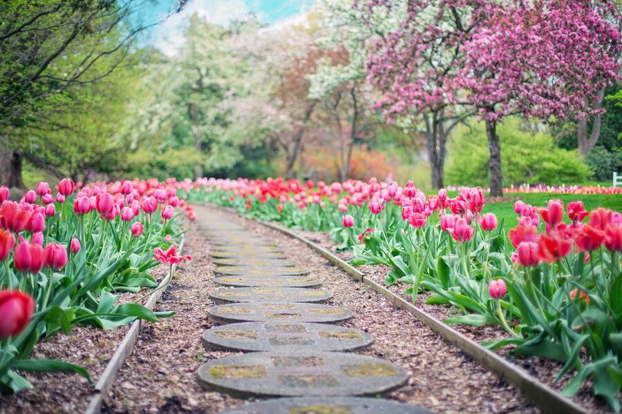 jardin arboré et fleuri