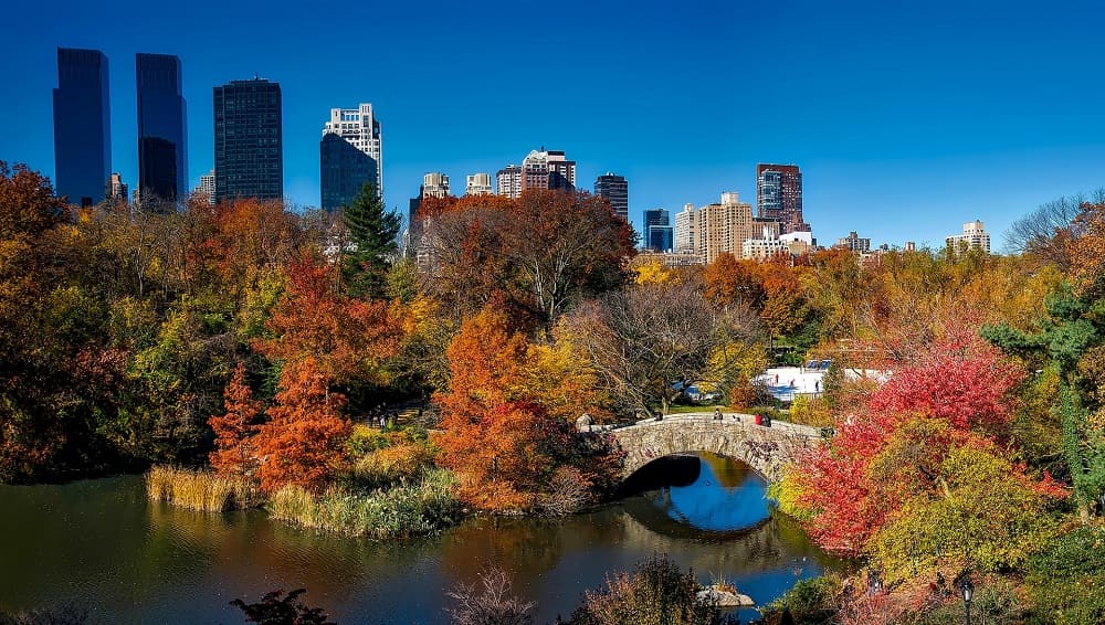 Automne Central Park