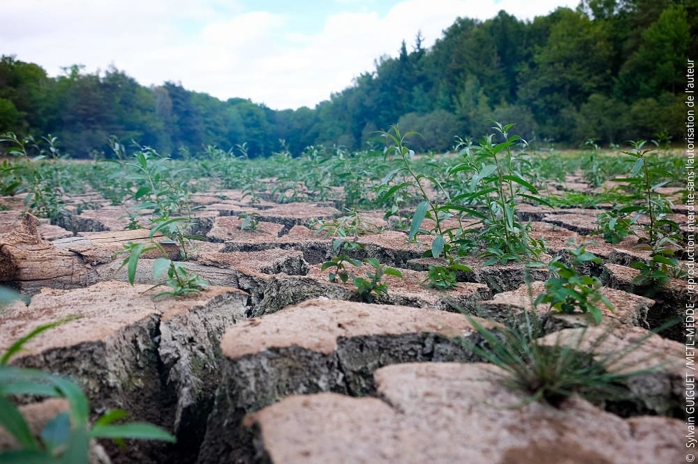 Sécheresse d'un terrain
